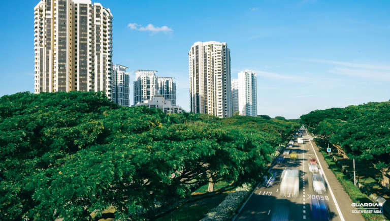 road besides trees and building